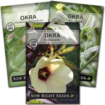 Sow Right Seeds - Okra Seed Collection for Planting - Burgundy, Clemson Spineless, and Emerald Varieties - Non-GMO Heirloom Packet to Plant a Home Vegetable Garden - Productive Summer Crop