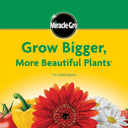 Miracle-Gro Water Soluble All Purpose Plant Food,Plant Fertilizer for Indoor or Outdoor Plants,Roses,Flowers,Houseplants,Vegetables and Trees,10 lb.,(Pack of 4)