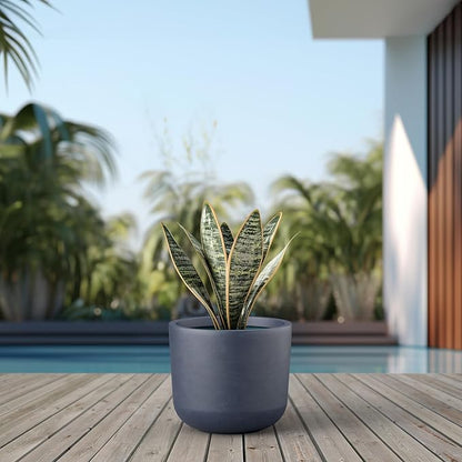 Kante Round Concrete Planter, 13.1 Inch Dia Classic-Style Large Pot with Drainage, Charcoal Finish with Painted, for Indoor & Outdoor Plants, Home, Patio and Garden