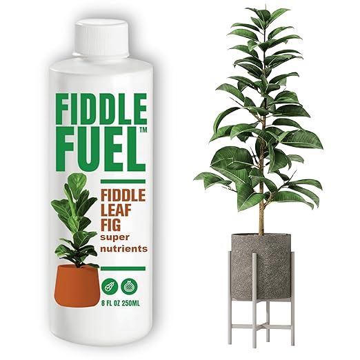 Fiddle Fuel – The Ultimate Fiddle Leaf Fig Premium Plant Fertilizer Liquid Nutrients Super Easy to Use for Fig Trees and Plants (Ficus Lyrata) – 8 oz