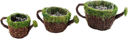 SuperMoss (55260 Deco Watering Can Planter Basket for Plants Home and Garden Decor Perfect Indoor and Outdoor Solutions for Plant Enthusiasts with Liner Medium 7"