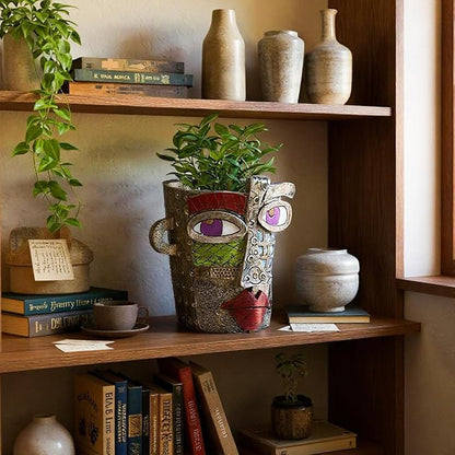 LemonRoad 2 Pcs Abstract Picasso Face Pots Head, Unique Decorative Head Planter with Drainage Modern Mexican Pots for Indoor Outdoor, Funky Gift