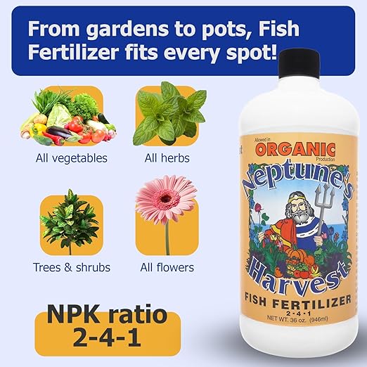 Neptune's Harvest Organic Plant Fertilizer | Liquid Fertilizer for Lawn, Garden & Houseplant | Rich in Essential Nutrients | Hydrolyzed Fish 2-4-1 (Quart) + Tomato & Veg Plant Food 2-4-2 (Quart)