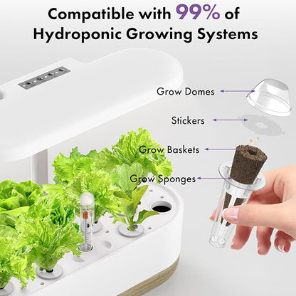 LYKOCLEAN Salad Romaine Lettuce Seed Pods for AeroGarden,Ahopegarden, iDOO Hydroponics Growing System,350 Seeds+ Including American Lettuce,Paris Island Cos Lettuce,Buttercrunch Lettuce (12-Pods)