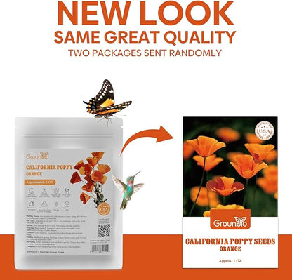 California Poppy Seeds, 1 Ounce Over 20000+ Seeds, Non-GMO | Heirloom | Sourced from USA- Eschscholzia Californica, USDA Zone 5-10