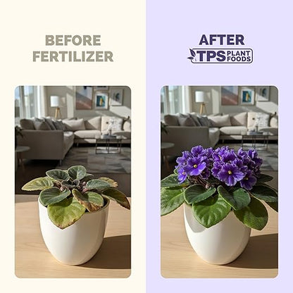 African Violet Fertilizer – Liquid African Violet Plant Food for Indoor Plants, 32 oz