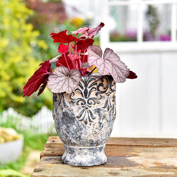 Sungmor 6.3 Inch Cement Plant Pot for Plants, Succulent Planter with Embossed Design, Vintage Concrete Flowerpots with Drainage Hole, Decorative Orchid Houseplant Pot Indoor Outdoor Plant Container