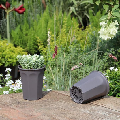 BangQiao 17 PCS 3.55" Plastic Deep Nursery and Seedling Pots, Round Transplant Seed Starter Planter,Gray Color