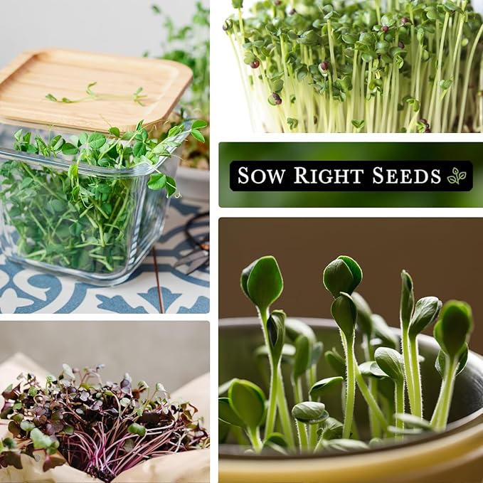 Sow Right Seeds - Large Microgreens Seed Collection - 10 Microgreen Variety Indoor Garden Packets with Superfood Seeds for Kitchen Counter Sprouting & Growing - Ideal for Indoor Gardening