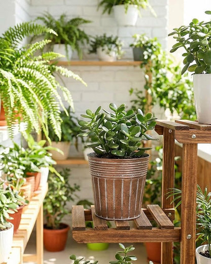 vensovo 5 Inch Brown Metal Rustic Flower Pots - 6Pcs Small Galvanized Planters with Drainage Hole and Rubber Plug, Rustproof Metal Bucket Plant Pots Farmhouse Vintage Style for Decor