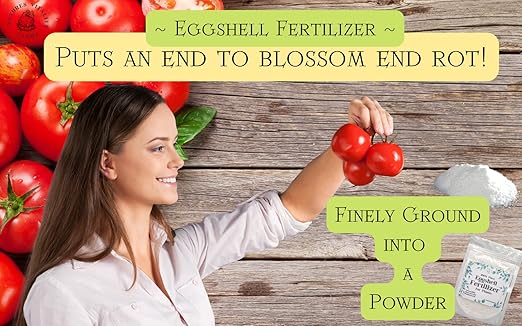 U.S.A. Eggshell Fertilizer Powder, 4 Ounce, for Tomato Plants, Orchids, Calcium Magnesium Phosphorus Powder for Indoor and Outdoor Flowers and Plants