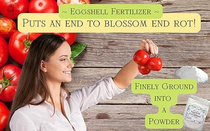 U.S.A. Eggshell Fertilizer Powder, 4 Ounce, for Tomato Plants, Orchids, Calcium Magnesium Phosphorus Powder for Indoor and Outdoor Flowers and Plants