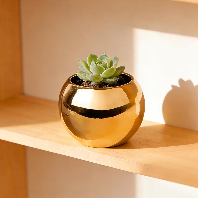 Gold Spherical Ceramic Plant Pots Succulent Small Planter Indoor Modern Round Decorative Indoor-Outdoor Garden Plant Pots with Drainage Holes - Plants Not Included 3.94 x 3.94 x 3.15 Inch