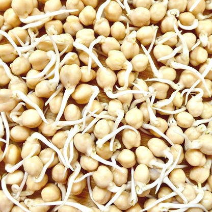 Todd's Seeds Protein Bean Sprouting Seed Mix; Green Pea, Mung Bean, Adzuki, Garbanzo, Non-GMO, Chemical Free, High Germination (1/4 Pound)