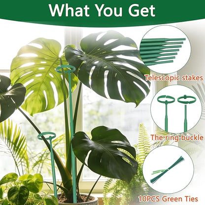 Telescoping Monstera Plant Support Stakes, 12.5IN to 48.4IN Adjustable Length, Extendable Plant Stakes for Indoor Plants, Premium Stainless Steel Material Plants Sticks for Orchids, Tomatoes- 3Pack