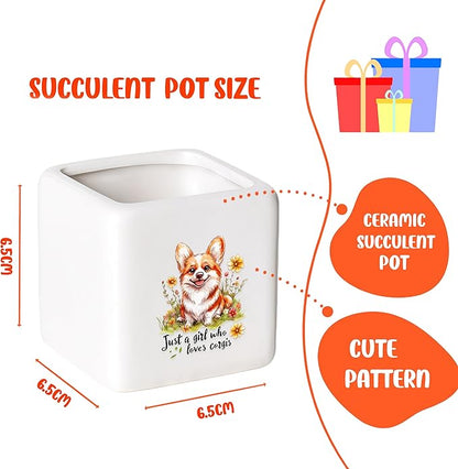 Corgi Succulent Planter Flower Plant Pot Small, Gifts for Women Teens Girls Kids, Corgi Lovers Themed Stuff Accessories Things Decor Merch, Home Office Table Desk Decoration!