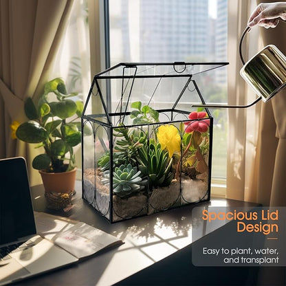 Plant Terrarium Kit, Rifny Large Glass Terrarium Jar with Absorbent Mat for Venus Fly Trap Succulent Live Air Plants Indoor Home Office Decor (Black, 8.9 x 5.9 x 9.9 inch, Without Plant Light)