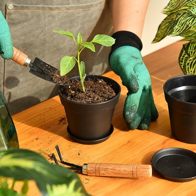 June Fox 60 Pack Small Plant Pots Indoor 4 Inch Plastic Planter with Drainage Holes and Saucers Premium Black Pots for Plants Bulk for Succulent, African Violets, Flowers, Seed Starting