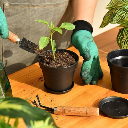 June Fox 60 Pack Small Plant Pots Indoor 4 Inch Plastic Planter with Drainage Holes and Saucers Premium Black Pots for Plants Bulk for Succulent, African Violets, Flowers, Seed Starting