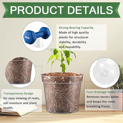 2.5" Clear Seeding Pots 100-Pack Round for Seeds Starter Pots, Seeds Germination Transparent Nursery Pot with Drainage Holes (2.5Inch,100Pcs,Clear)