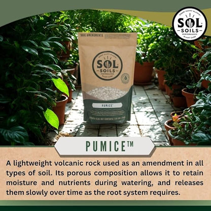 Sol Soils Horticultural Pumice - Lightweight, All-Natural Volcanic Rock Soil Amendment to Improve Drainage, Aeration & Maintain Moisture Balance – Filtered 3/8" to 1/4" - 1 Quart