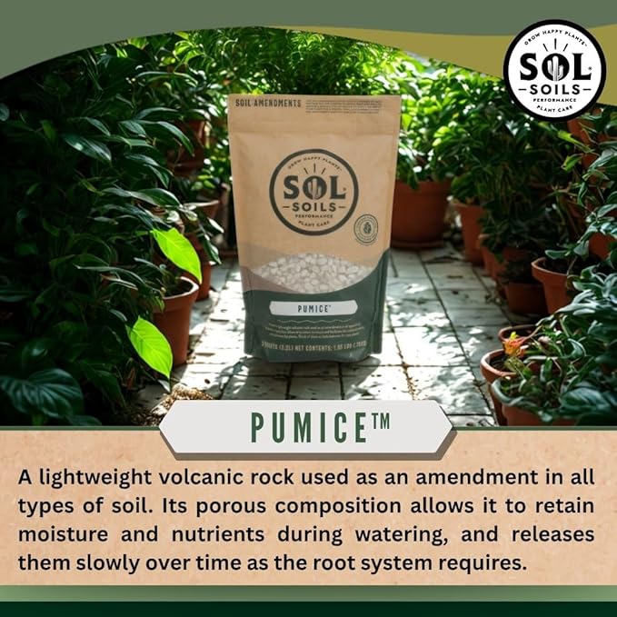 Sol Soils Horticultural Pumice - Lightweight, All-Natural Volcanic Rock Soil Amendment to Improve Drainage, Aeration & Maintain Moisture Balance – Filtered 3/8" to 1/4" - 2 Quarts