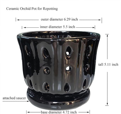 Ceramic Orchid Pot with Attached Saucer and Drainage Hole 6'' Orchid Planter (Black)