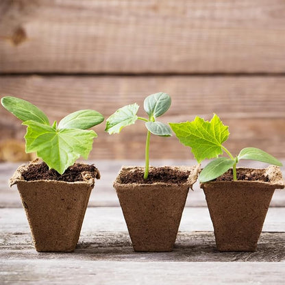 Park Seed CowPots 4-inch Tall Square Nitrogen-Rich Plant Seedling Starter, Set of 12