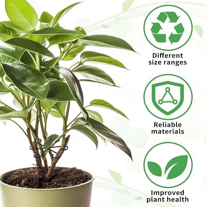 Augshy 12 Pcs Plant Stem Holders, Plastic Invisible Plant Support Stakes Indoor Reusable Climbing Houseplant Stem Supports Hook Growth Accessories for Indoor Home Garden