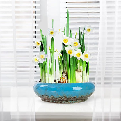 Lotus Bowl Planter - 7.3 Inch Large Lotus Flower Bowl for Water Plants, Ceramic Hydroponic Planter Water Lily Bowl for Planting Aquatic and Indoor Succulent Plants and Bonsai