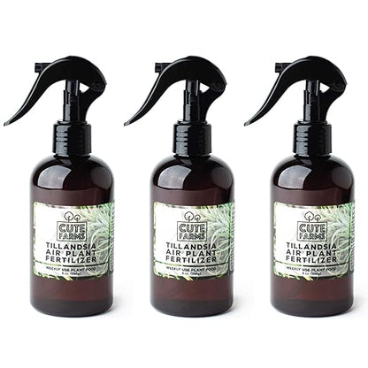Cute Farms Tillandsia Air Plant Fertilizer | Gentle Weekly Use Formula Plant Food | Formulated Nutrients for Air Plants (Three - 8 oz. Spray Bottle)