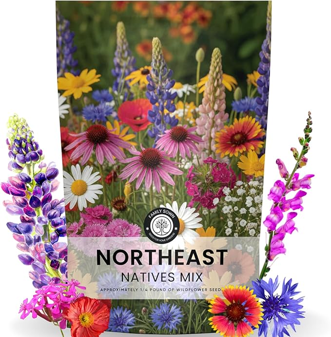 Northeast Natives Mix – 67,000 Seeds for Planting – 2026 Season – 4 Ounce Pouch