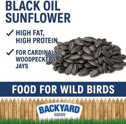 CountryMax Backyard Seeds Black Oil Sunflower Seeds for Wild Birds 25lbs - Thin Shells, Premium Cardinal Food, Medium Bag of Black Oil Sunflower Seeds