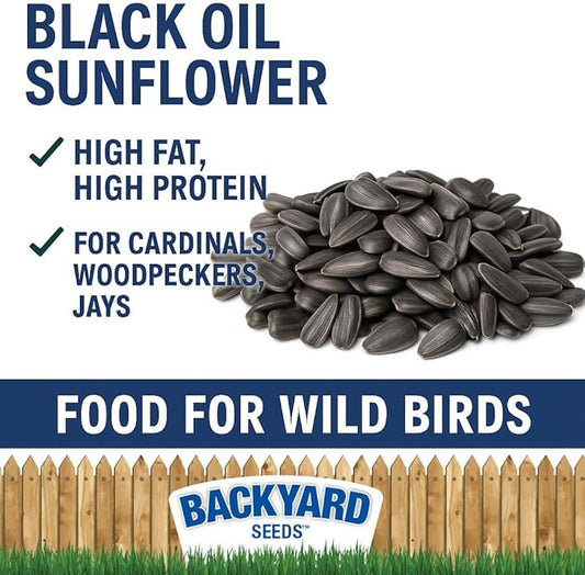 CountryMax Backyard Seeds Black Oil Sunflower Seeds for Wild Birds 25lbs - Thin Shells, Premium Cardinal Food, Medium Bag of Black Oil Sunflower Seeds