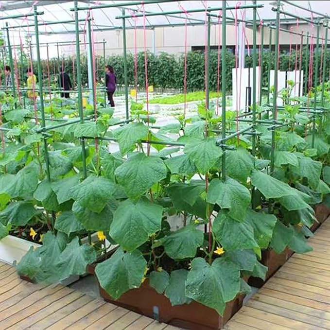 58 Inch Garden Stakes Sturdy Plant Sticks Support Tomato Stakes for Vegetable