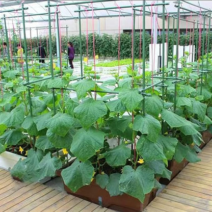 58 Inch Garden Stakes Sturdy Plant Sticks Support Tomato Stakes for Vegetable