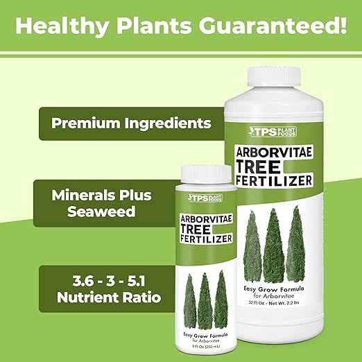 Arborvitae Tree Fertilizer for All Arborvitaes, Evergreen Shrubs and Thuja Trees, Liquid Plant Food 1 Gallon (128oz)