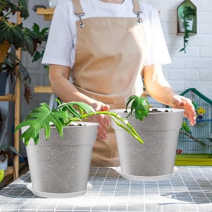 Baderke 3 Pack Clear Nursery Pot Plastic Nursery Pot Large Plant with Drainage Holes for Root Health Indoor Outdoor(8 Inches)