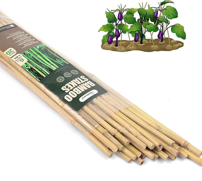 6ft Bamboo Garden Stakes Eco-Friendly Plant Stakes 6 Feet, Bamboo Poles for Tomatoes Beans Climbing Plants Support - Pack of 20 Bamboo Stakes