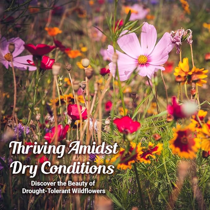 Drought Tolerant Wildflower Seeds - 4oz Packet, Open-Pollinated Bulk Flower Seed Mix for Beautiful Perennial, Annual Garden Flowers - No Fillers - 1/4 Pound