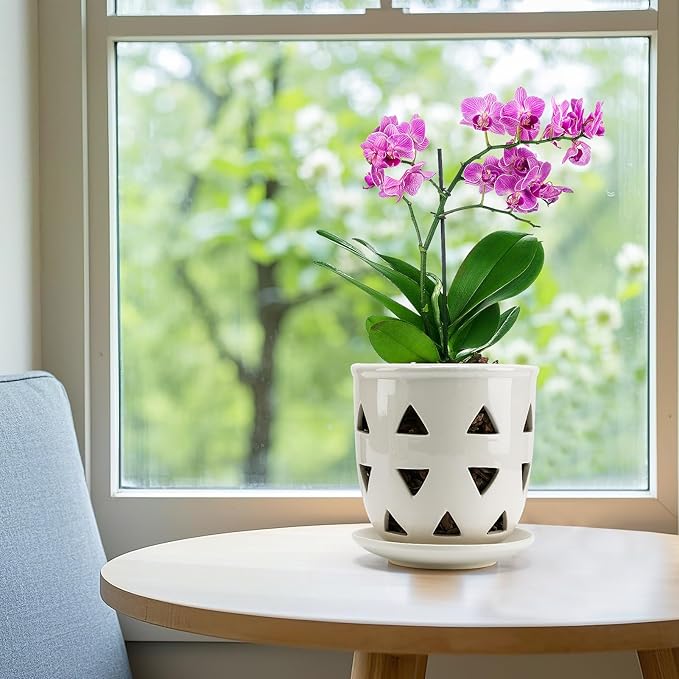 Aulock 6in Ceramic Orchid Pot with Drainage Holes, Decorative Planter, Excellent Airflow for Healthy Roots, for Repotting Indoor, Triangle Style