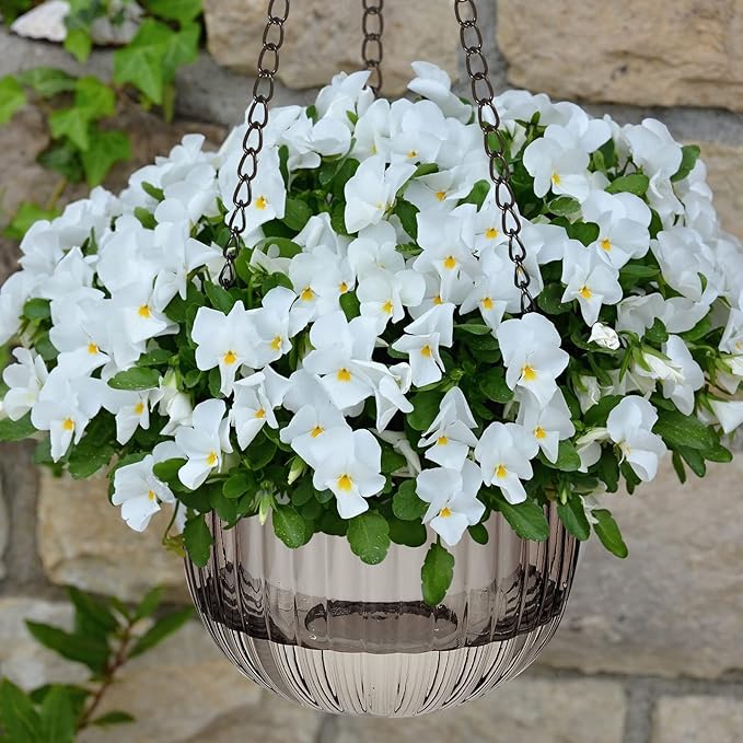 Meanplan 4 Pcs Self Watering Hanging Planter Indoor 6.5 Inch Hanging Baskets for Plants Outdoor Plastic Flower Pot with 3 Hooks Chains Drainage Holes for Garden Home, Medium Size(Emerald, Gray)