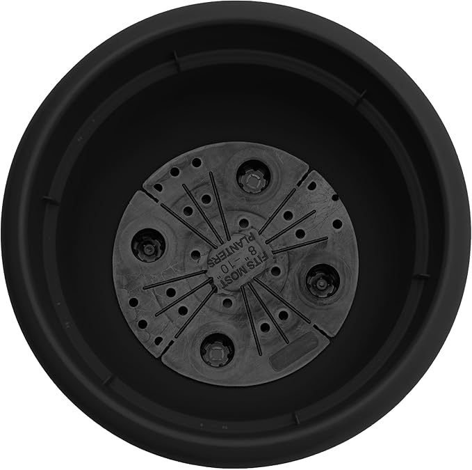Bloem Ariana 10" Black Round Self-Watering Resin Planter Pot - Rolled Rim Indoor and Outdoor Gardening Planter