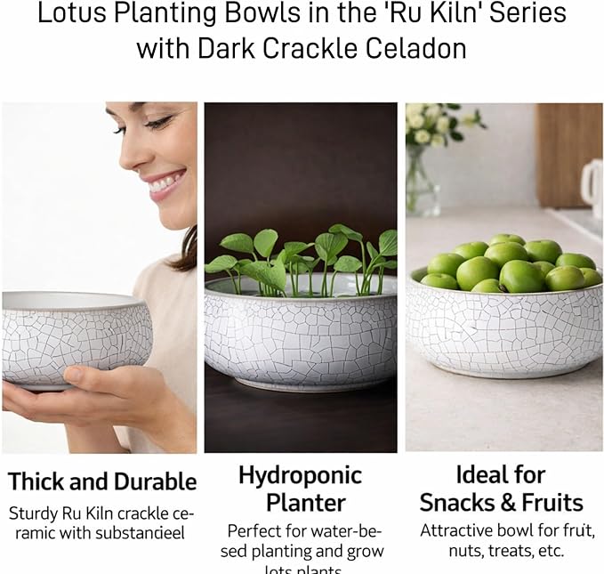 2 Pack Lotus Bowl Planter, Large 7.5'' & Small 6'' Shallow Lotus Pots for Water Planting, Drainage-Free Ceramic Hydroponic Bowl for Lotus Seeds, Ikebana, Succulents & Water Lilies (Kiln Split)