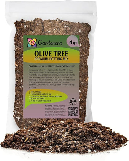 Gardenera Olive Tree Premium Potting Mix - Create a Mediterranean Paradise in Your Backyard - 4 Quart