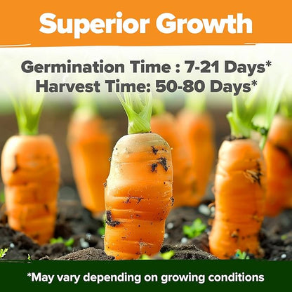HOME GROWN Rainbow Carrot Seeds 3,350+ Heirloom Seeds (10 Varieties) – High Germination, Vegetable Seeds for Planting Indoors or Outdoor Home Garden