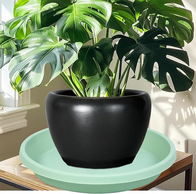 Plastic Plant Saucer 10 Inch Round Pack of 5 Plant Saucers Thickened Reusable Drip Trays for Flower Pots