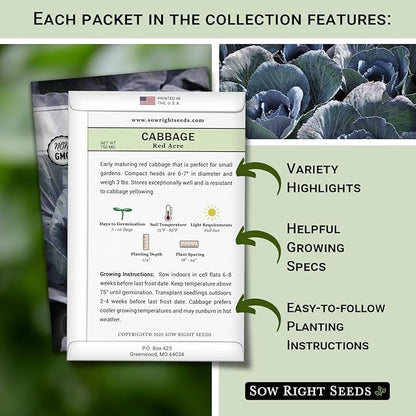 Sow Right Seeds - Cabbage Seed Collection for Planting - Savoy, Jersey Wakefield, Red Acre, Golden Acre, Copenhagen, Round Dutch - Non-GMO Heirloom Varieties to Plant and Grow a Home Vegetable Garden