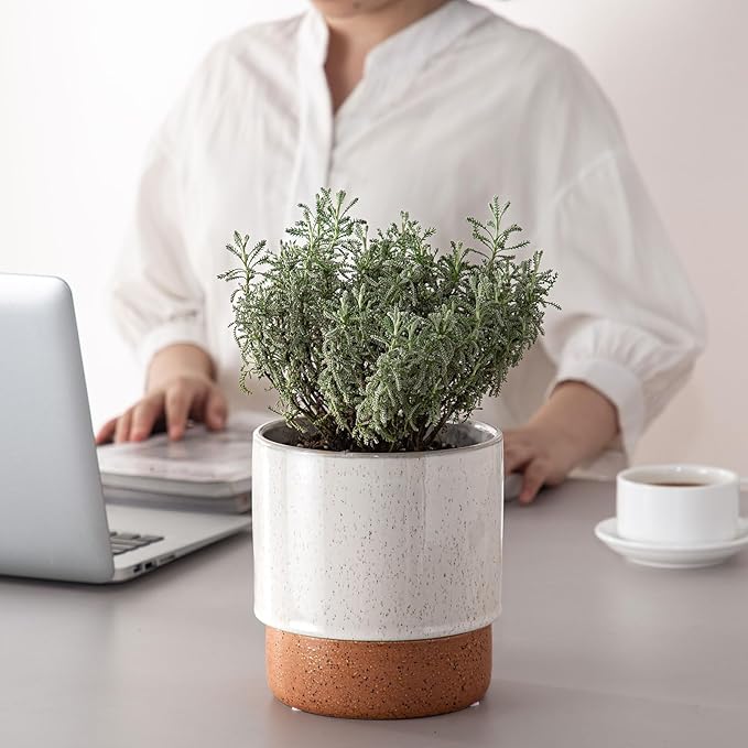 Self Watering Plant Pot: 6 Inch Ceramic Planter with Drainage Hole & Water Storage Plus - Flower Pot for Indoor & Outdoor Plants (Retro Grey, Small)