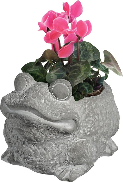 Classic Home and Garden Cement Buddies Animal Planter - Cute Desk Decoration - UV Coated Animal Vase w/Removable Drain Plug - Succulent Planter for Indoor/Outdoor Use (Frog Planter, Natural, Small)
